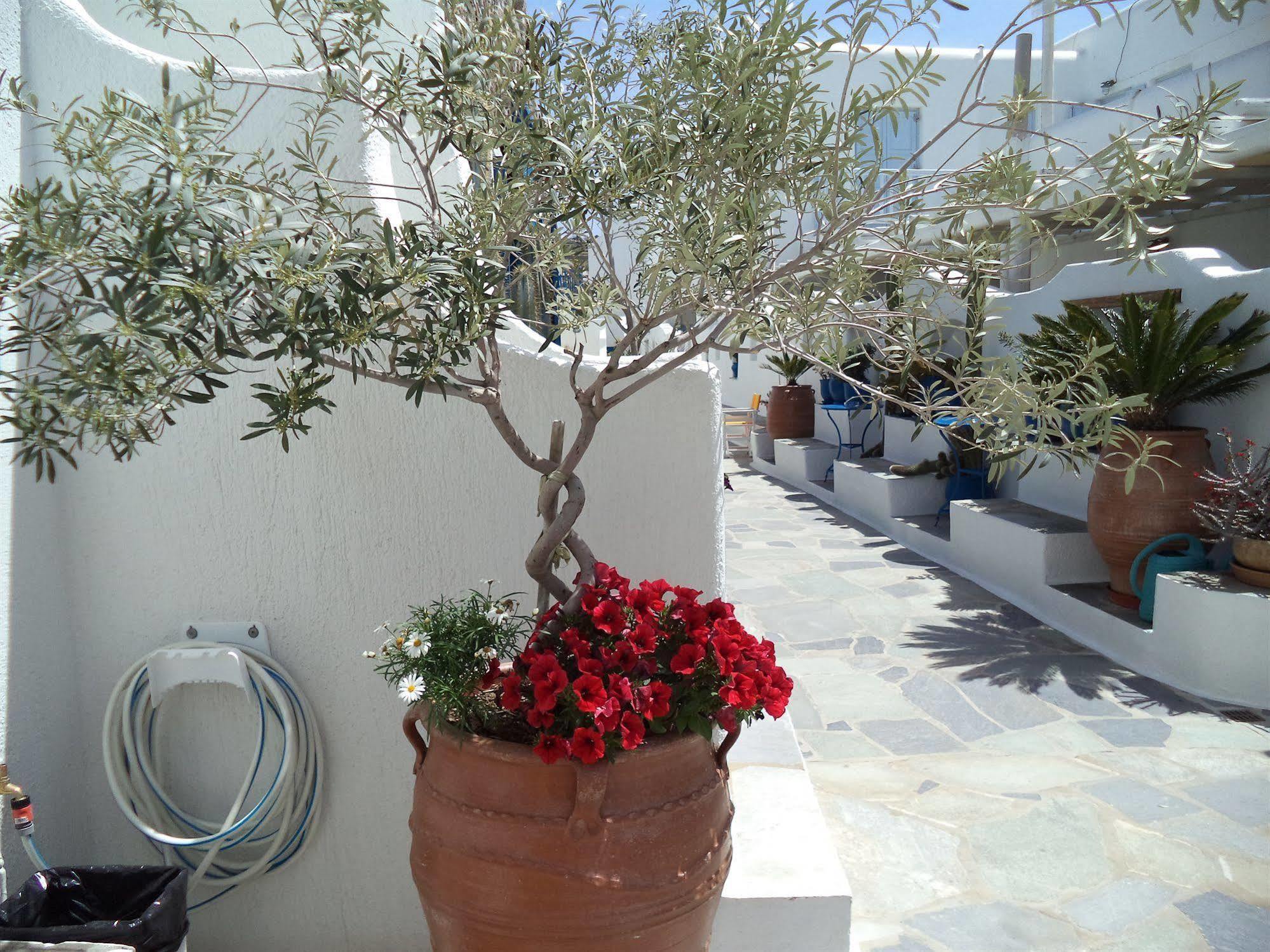 Filoxenia Apartments Ορνός Εξωτερικό φωτογραφία